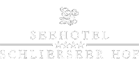 teamazing-erlebnisbuilding-seehotel-schlierseer-hof-logo